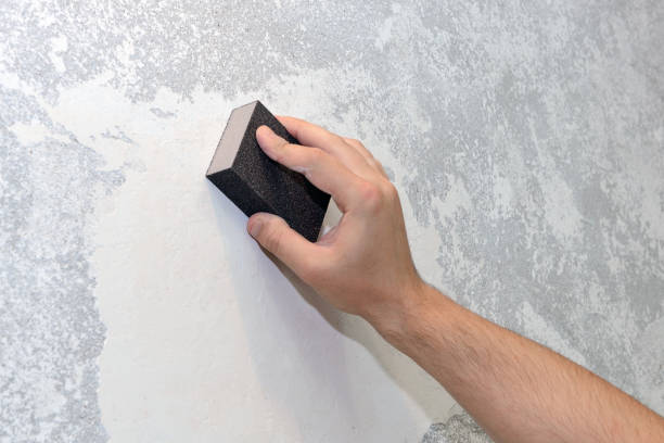 Best Emergency Mold Remediation  in Trenton, FL