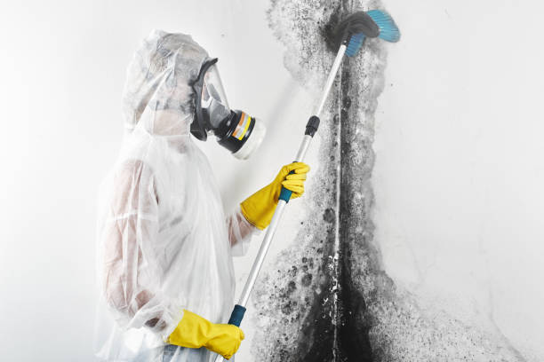 Best Airborne Mold Testing  in Trenton, FL