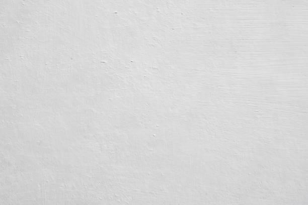 Best Basement Mold Removal  in Trenton, FL