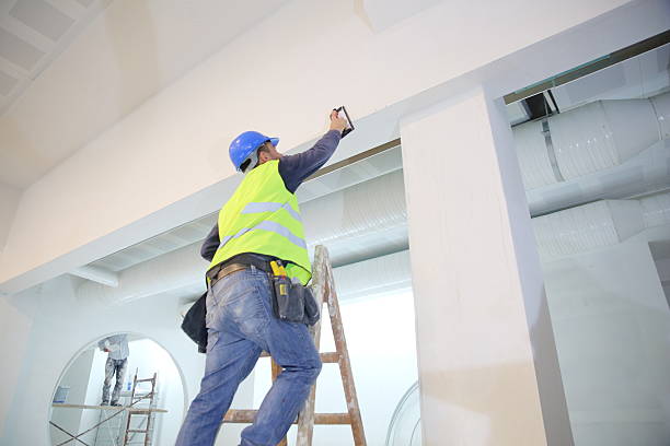 Trenton, FL Mold Removal Company