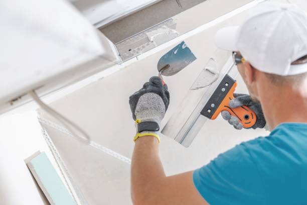Best Black Mold Removal  in Trenton, FL